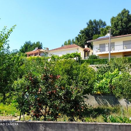 Bellavista Alojamento Arouca Exterior photo